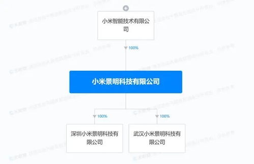 小米景明科技成立 深化全生態(tài)布局，汽車銷售與服務(wù)邁出新步伐